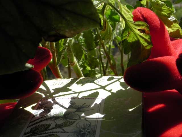 La natura nel cuore - Teri Volini - Potenza