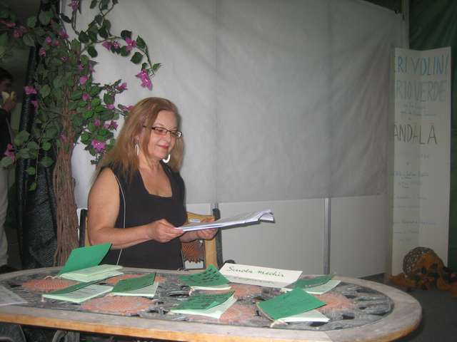 Immagine della mostra Efab