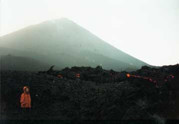 Primavera delle Arti