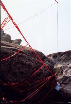 Primavera delle Arti