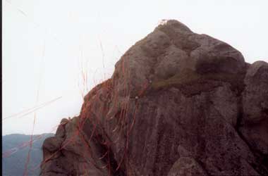 Primavera delle Arti